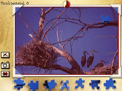 Puzzle Book