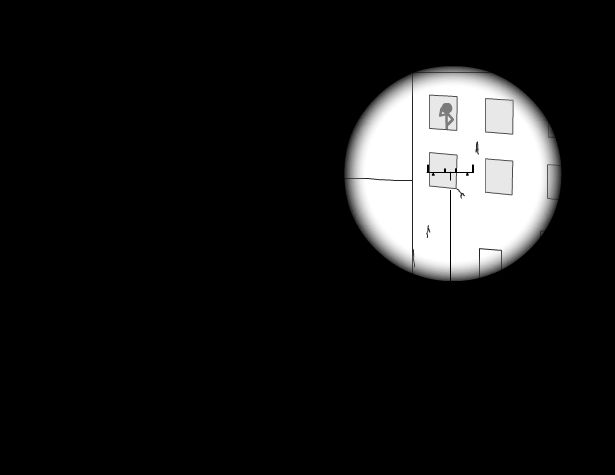 Clear Vision